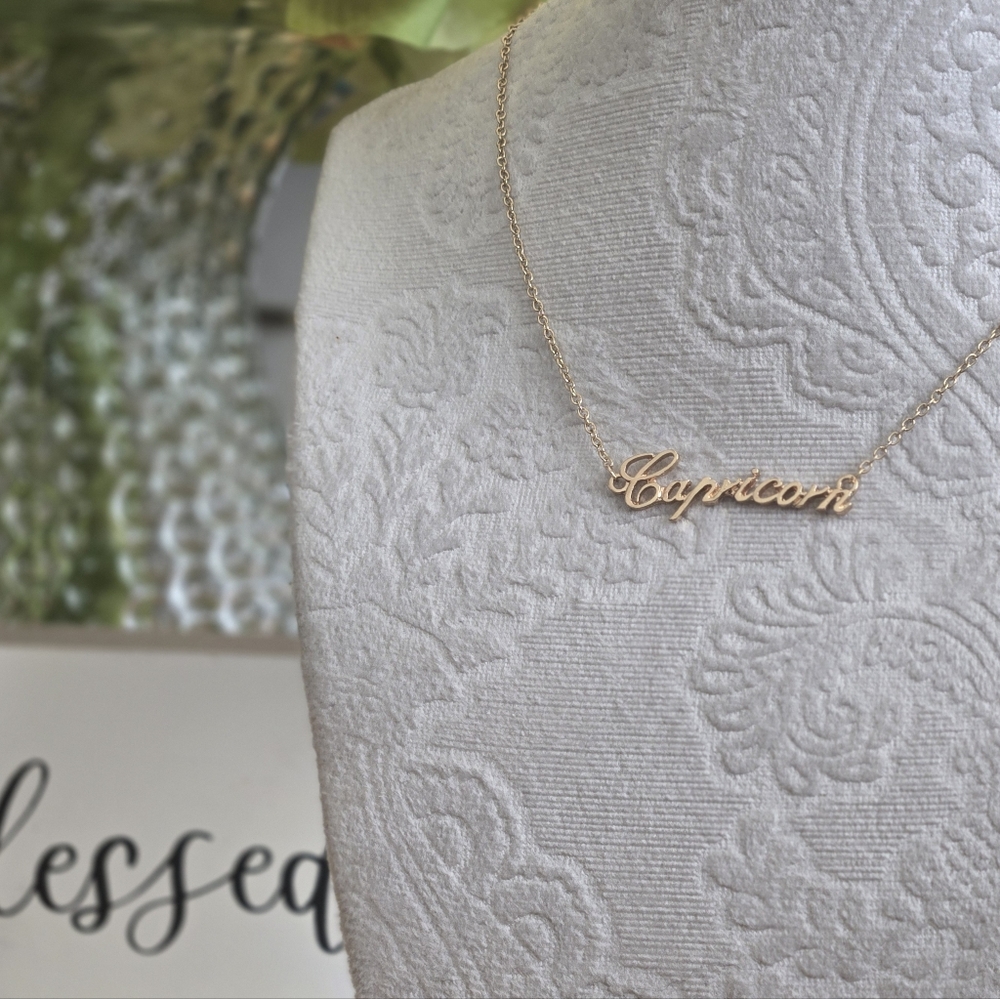 ♑️ ♓️ LIVE $5 Capricorn/Pisces Necklace